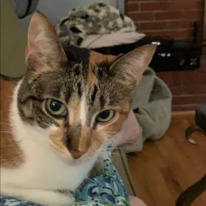 Meet your Posher, Jayne